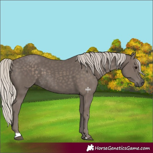 Horse Color:Silver Black 