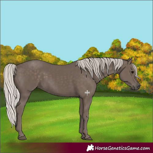 Horse Color:Silver Black 