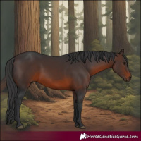 Horse Color:Brown 