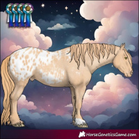 Horse Color:Gold Champagne Blanket Rabicano