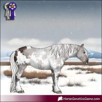 Horse Color:White Spotted Silver Bay Mushroom