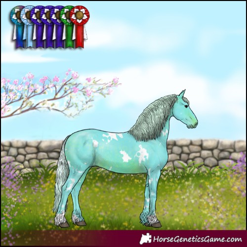Horse Color:Watercolor White Spotted Silver Brown Rabicano 