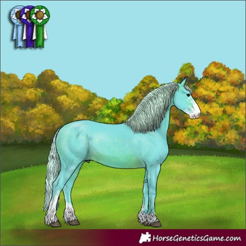 Horse Color:Watercolor Silver Brown Sabino Rabicano 