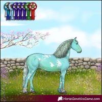 Horse Color:Watercolor White Spotted Silver Brown Rabicano 