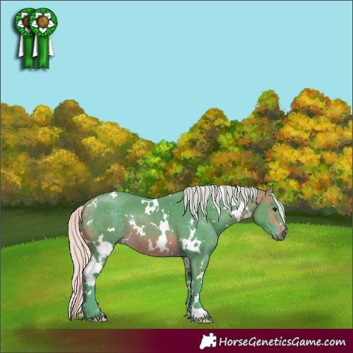 Horse Color:Watercolor White Spotted Silver Brown 