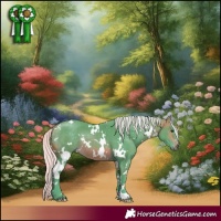 Horse Color:Watercolor White Spotted Silver Brown