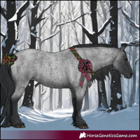 Horse Color:Blue Roan 