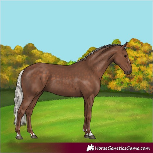 Horse Color:Silver Black 