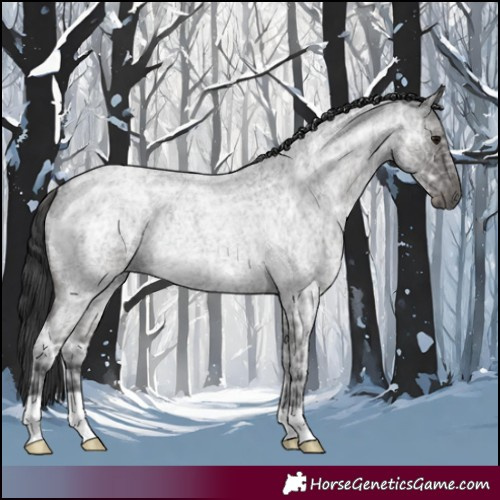 Horse Color:Blue Ice Roan Rabicano 