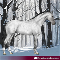 Horse Color:Blue Ice Roan Rabicano 