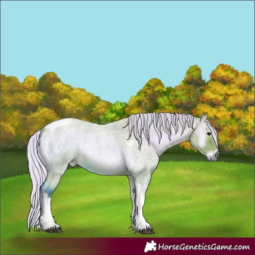 Horse Color:Watercolor Silver Bay Roan Onyx Tobiano 