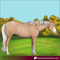 Horse Color:Silver Black Pearl 