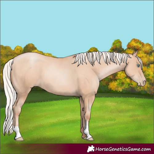 Horse Color:Silver Sable Champagne Pearl 