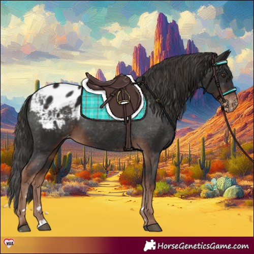 Horse Color:Liver Chestnut Appaloosa