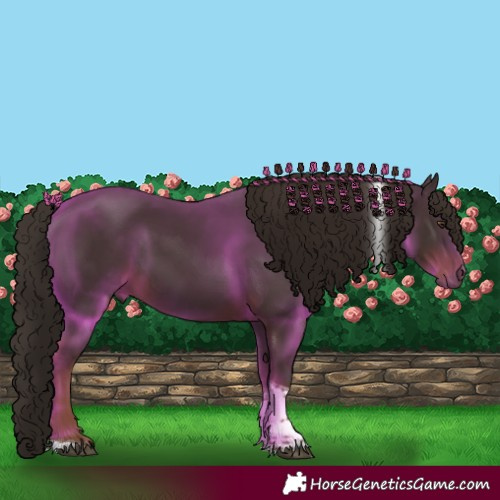 Horse Color:Liver Chestnut Tobiano 