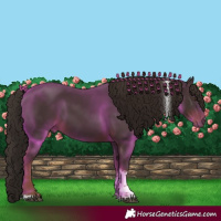 Horse Color:Liver Chestnut Tobiano 