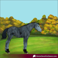 Horse Color:ERROR: UNKNOWN ANOMALY