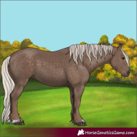 Horse Color:Silver Black 