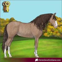 Horse Color:Classic Champagne Rabicano