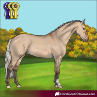 Horse Color:Silver Brown Dun 