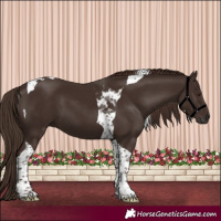 Horse Color:Liver Chestnut Tobiano 