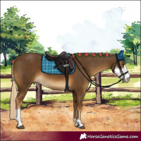 Horse Color:Chocolate Palomino Sabino Tobiano