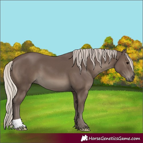 Horse Color:Silver Black 