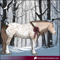 Horse Color:Amber Champagne Sabino Tobiano Appaloosa  and Amber Champagne Sabino Tobiano Appaloosa 