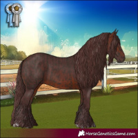 Horse Color:Liver Chestnut  and Chocolate Brown 