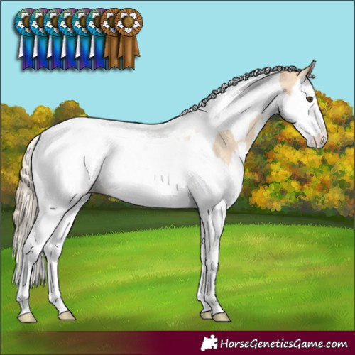 Horse Color:Palomino Dun Splash Tobiano Blanket 