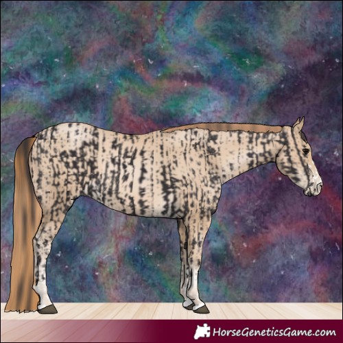 Horse Color:Smoky Black and Smoky Black Pearl