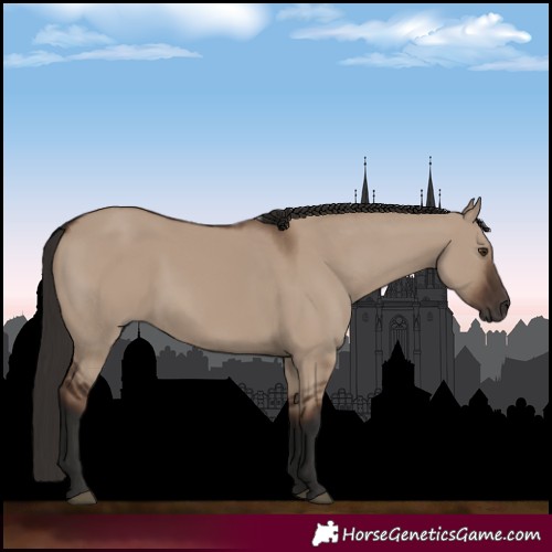 Horse Color:Liver Red Dun Rabicano