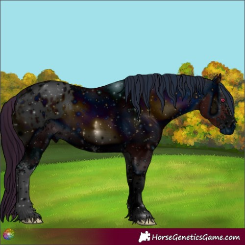 Horse Color:ERROR: UNKNOWN ANOMALY