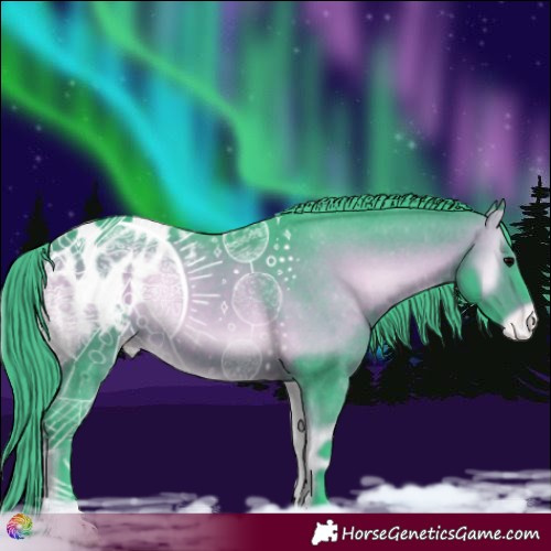 Horse Color:Watercolor Bay Onyx Appaloosa Rabicano 