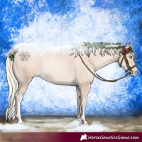 Horse Color:Gold Cream Champagne Pearl 