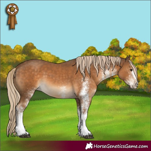 Horse Color:White Spotted Chocolate Palomino 