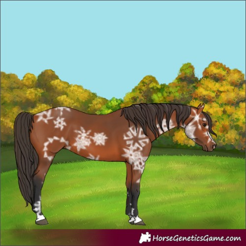 Horse Color:Bay Ice 