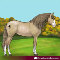 Horse Color:Watercolor Grullo Pearl Rabicano 