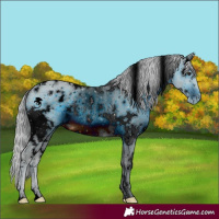 Horse Color:ERROR: UNKNOWN ANOMALY