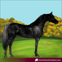 Horse Color:ERROR: UNKNOWN ANOMALY