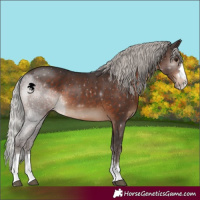 Horse Color:Silver Brown 