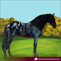 Horse Color:ERROR: UNKNOWN ANOMALY