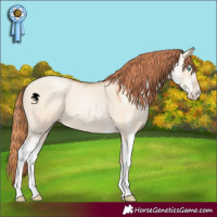 Horse Color:Amber Champagne Pearl Dun Sabino 