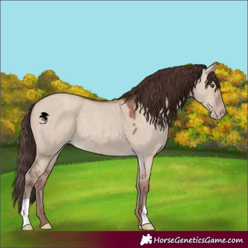 Horse Color:Classic Champagne Dun 