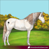 Horse Color:White Spotted Sable Cream Champagne Pearl Dun Sabino 