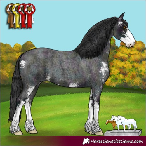 Horse Color:Midnight Blue Roan Sabino 
