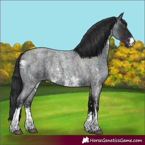 Horse Color:Midnight Blue Roan Sabino 