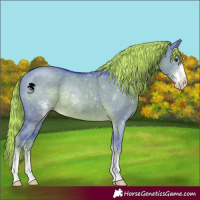 Horse Color:Watercolor Liver Red Dun Sabino Rabicano 