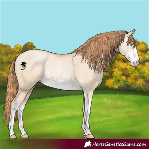 Horse Color:White Spotted Buckskin Pearl Dun Rabicano 