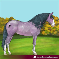 Horse Color:Watercolor Sable Champagne 